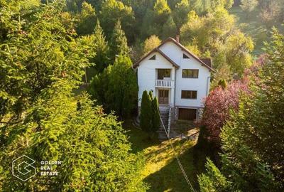 Casa de vacanta, localitatea Cladova, ideal pozitionata - 1