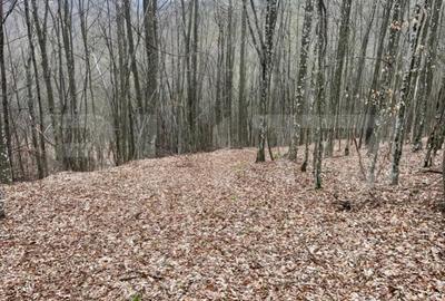 Teren în Central - 6