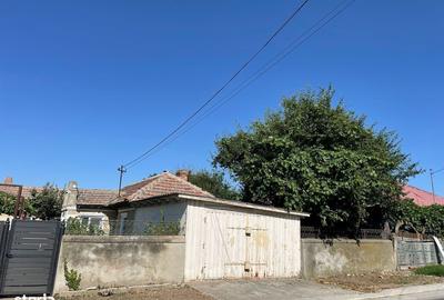 Spațiu comercial, în Lumina - 3