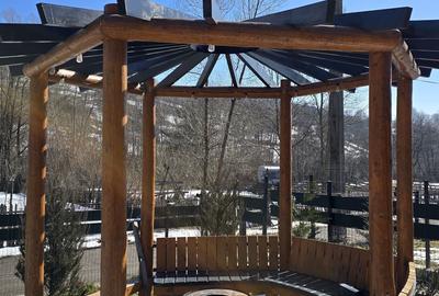 Casă cu 3 camere în Valea Doftanei - 6