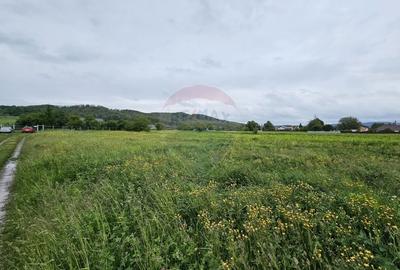 Teren Construcții intravilan de 1495 mp, în Dobreni - 18