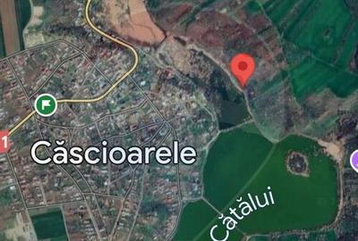 Teren la lac 2 loturi Calarasi, Cascioarele - 1