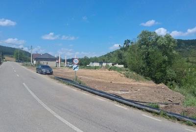 Casă cu Teren 8000 Mp în Panticeu - 1