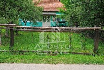 Casa bătrânească de vânzare | 4 camere | Hunedoara | Micănești - 42