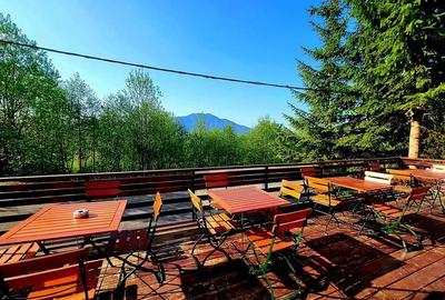 Aparthotel cu view superb Valea Prahovei - 9