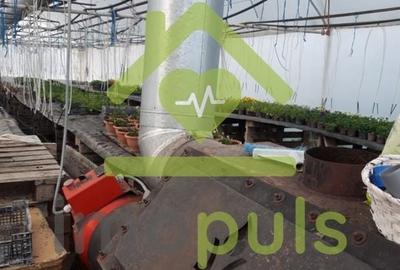 🗺️ Teren intravilan in Jupani (Timis), 10,19 Euro/mp.✨ - 12