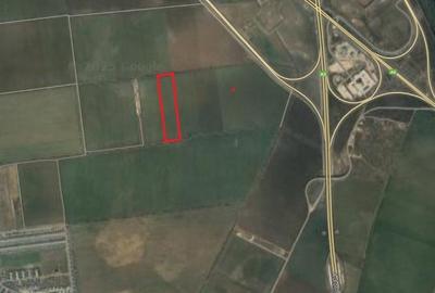 Teren agricol intravilan de 16434 mp, în Tunari - 2