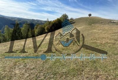 Teren extravilan la munte zona Loman! - 4