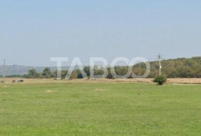 Teren de vanzare 8696mp pentru investite zona Calea Cisnadiei Sibiu - 1