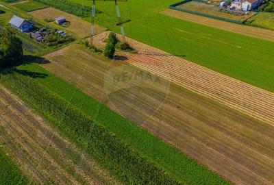 COMISION 0% Teren 3098 mp Brasov / Stupini - 12