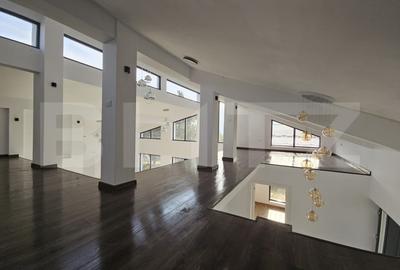 Vila superba, 4 camere, in zona Hlincea - 18