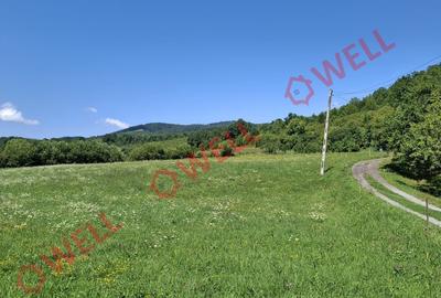 De vânzare teren intravilan de 7600 m² în Sovata, pe strada Alunei (Mogyoró). - 9