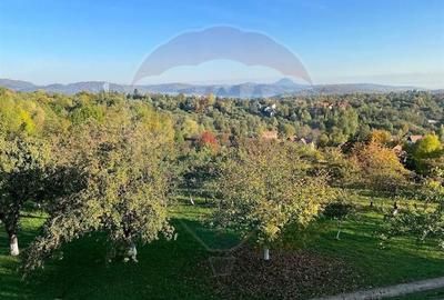 Teren Construcții intravilan de 4145 mp, în Predeluț - 3