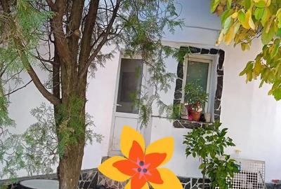 Casă cu Teren 400 Mp în Brestei - 9