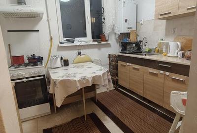 Apartament cu 2 camere semidecomandat în Săsar - 10