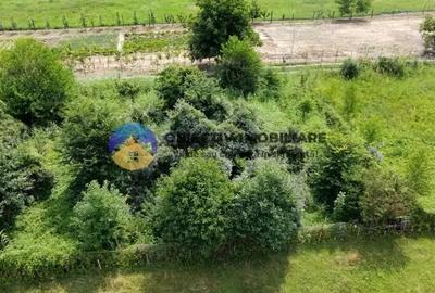 Teren intravilan com. Alexandru cel Bun- Viisoara - 7