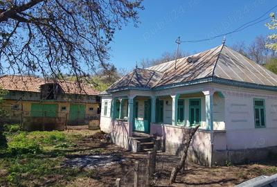 Casă cu 4 camere cu Teren 1048 Mp în Valea Seacă - 6