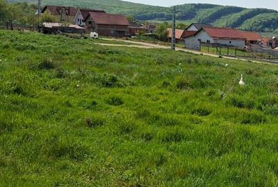 Teren de 700 mp, în Exterior Vest - 5