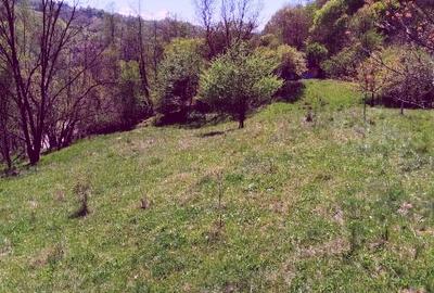 Teren Construcții intravilan de 7.7950000762939 mp, în Golești - 5
