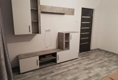Apartament cu 2 camere semidecomandat în Pantelimon - 6