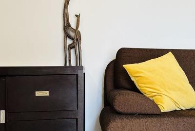 Apartament cu 2 camere decomandat, mobilat în Iosefin - 23