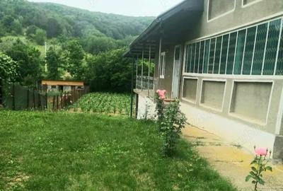 Casă cu 4 camere cu Teren 790 Mp în Plopșoru