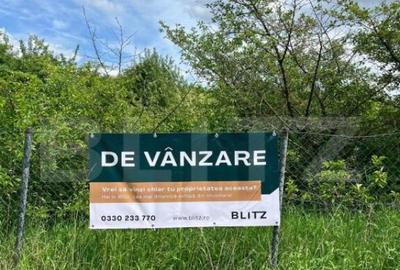 Teren intravilan ,cu vegetatie, 2700 mp, zona Siret - 2