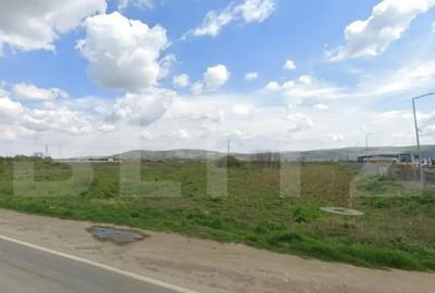 Teren de 8124 mp, în Bărăbanț - 1