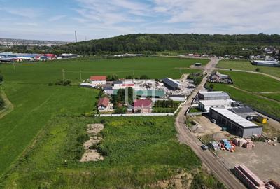 Teren Construcții intravilan de 4844 mp, în Șcheia - 2