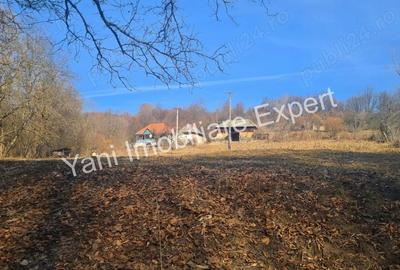 Casă cu 2 camere cu Teren 10076 Mp în Morăști - 4