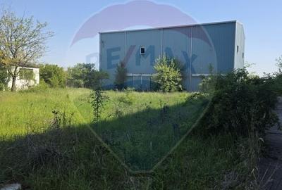 Teren Construcții intravilan de 13210 mp, în Ștefăneștii de Jos - 8