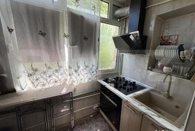 Apartament cu 2 camere decomandat în Lăpuș Argeș - 8