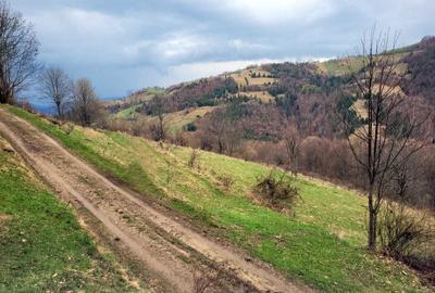 Spațiu comercial, în Valea Bistrii - 4