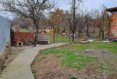 Vind casa in Bazosu Nou - 5