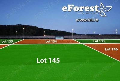 Casă cu Teren 720 Mp în Crevedia - 7