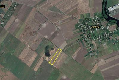 Teren Construcții intravilan de 26400 mp, în Dascălu