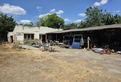 Casă cu 2 camere cu Teren 600 Mp în Elisabetin - 3