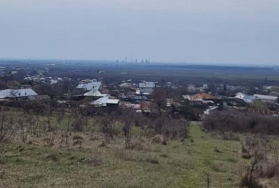 Teren de 3500 mp, în Pleașa - 4