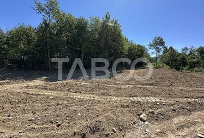 Teren extravilan cu utilitati 1800 mp langa Rau pe Valea Sebesului - 3