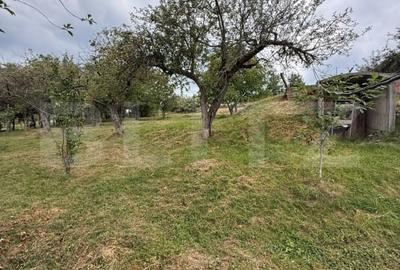 Casa etaj, 140 mp utili, 4800 mp teren, Adancata - 6