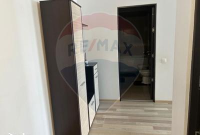 Apartament cu 2 camere, mobilat în Funcționarilor - 14