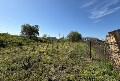 Teren intravilan 1090 mp - Campineanca - 5