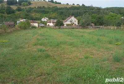 Teren de 3000 mp, în Budeasa - 3