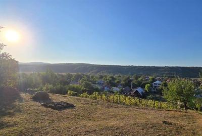 TEREN LOC DE CASA DE VANZARE FILIPESTI  BOGDANESTI - 6