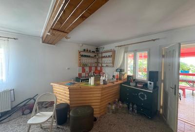 Casă individuală cu 3 camere cu Teren 3000 Mp în Exterior Est - 5