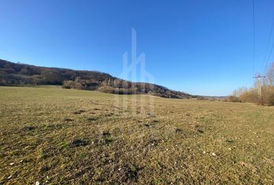 Teren agricol de 7500 mp, în Bradu - 4