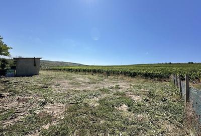 Teren de 1063 mp, în Exterior Vest - 6