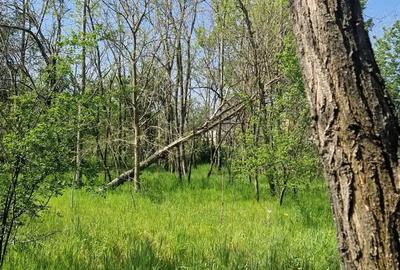 Casa de vanzare comuna Ianca jud olt - 10