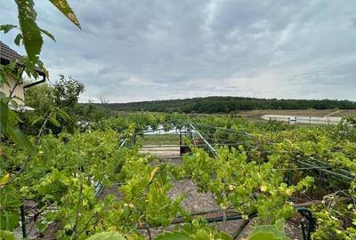 Casă cu 7 camere cu Teren 510 Mp în Paleu - 21