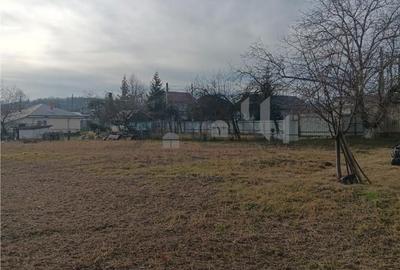 Teren de 3500 mp, în Bârnova - 2